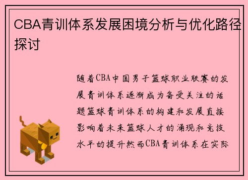 CBA青训体系发展困境分析与优化路径探讨 CBA青训体系发展困境分析与优化路径探讨